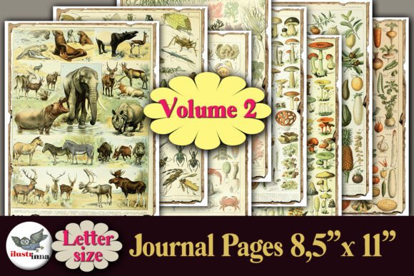 Download Vintage Nature Junk Journal Pages Letter - Nature junk journal pages Collection